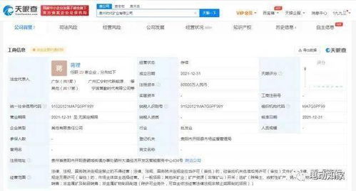 寧德時代成立礦業公司，新材料技術推廣服務助力產業升級