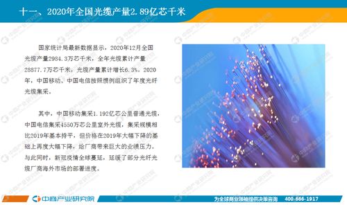 基礎電信業(yè)務 信息社會的基石與未來發(fā)展路徑